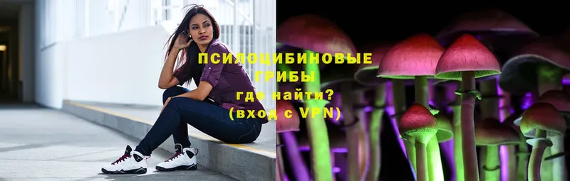 Галлюциногенные грибы мухоморы  Бор 